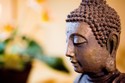 budha